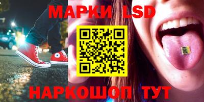 гидра Гатчина
