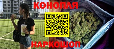 гидра Гатчина