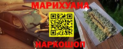 гидра Гатчина