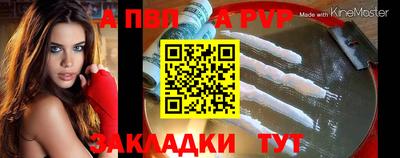 гидра Гатчина