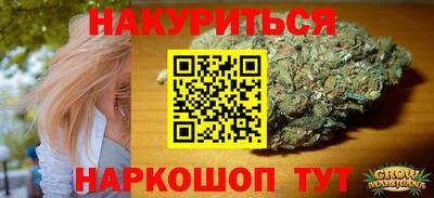 гидра Гатчина
