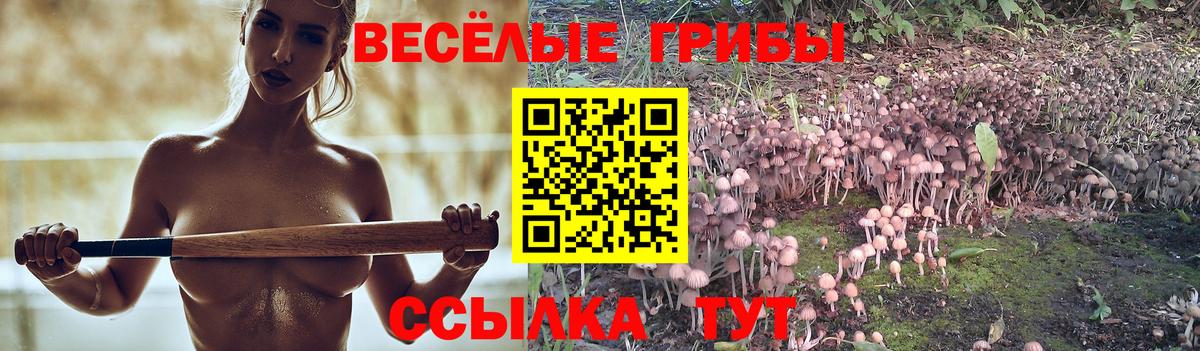 Псилоцибиновые грибы Psilocybine cubensis Назарово