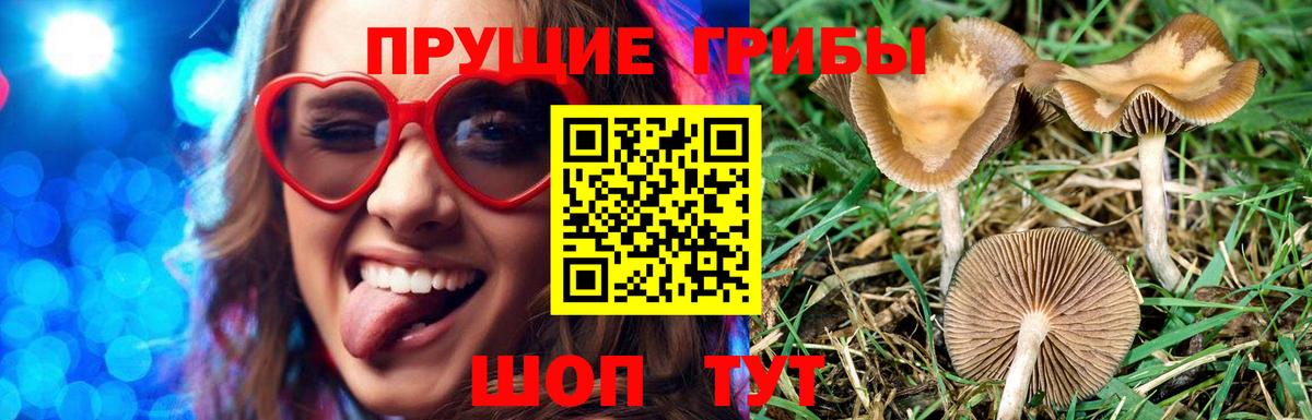 Псилоцибиновые грибы прущие грибы  Псилоцибиновые грибы Magic Shrooms  Вход с VPN  Назарово 